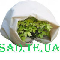 Накриття для кущів, парників