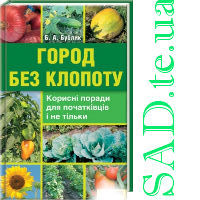 Город без клопоту
