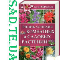 Енциклопедія домашніх рослин