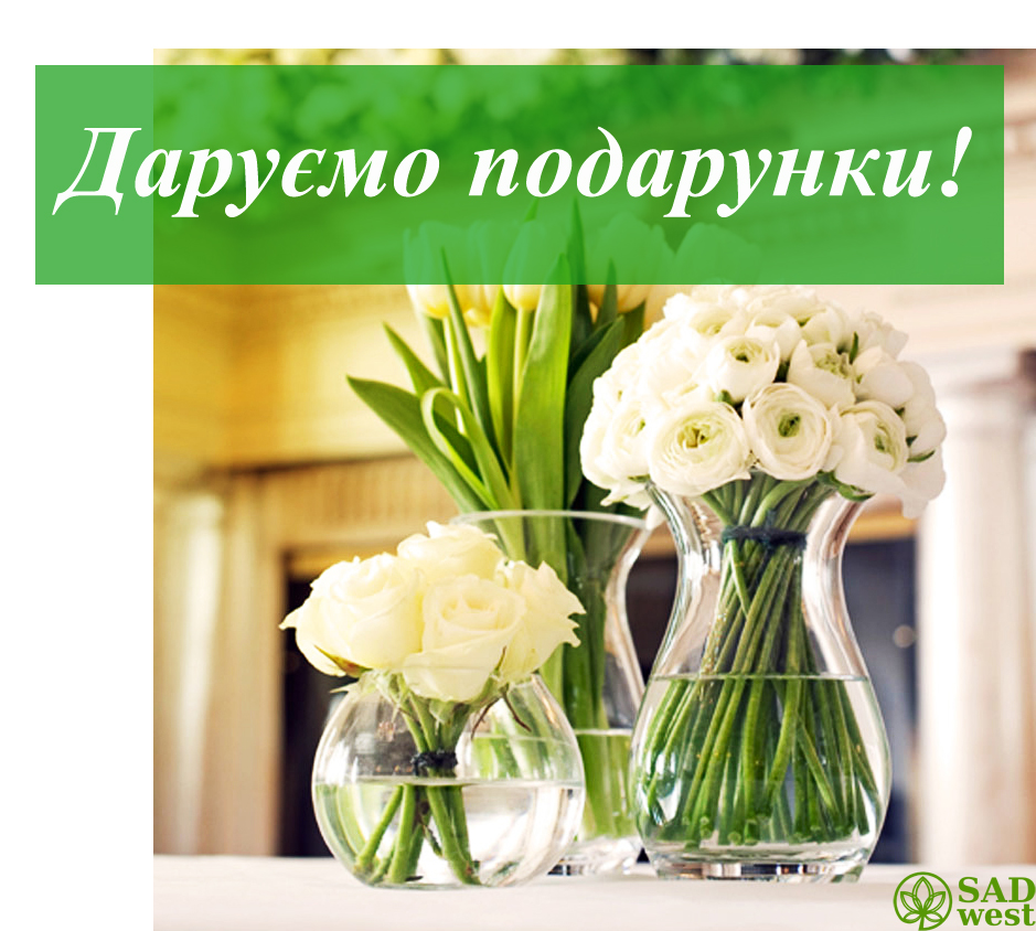 Конкурс!